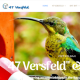47 Versfeld